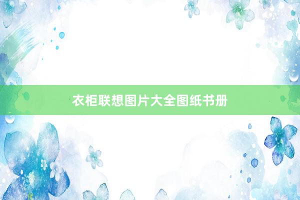 衣柜联想图片大全图纸书册