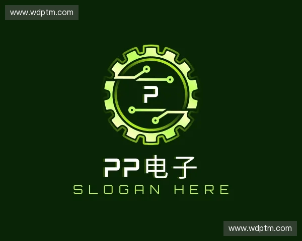 介绍PP电子厅下载